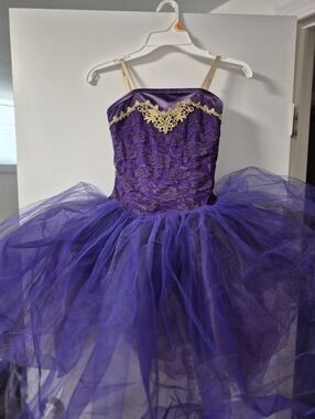 Purple Ballet Dress With Tulle Tutu Curtain Call